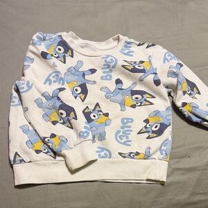 Kids Bluey crewneck sweatshirt